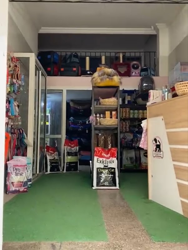 Animalerie Doggy Paws — Pet shop · Salé