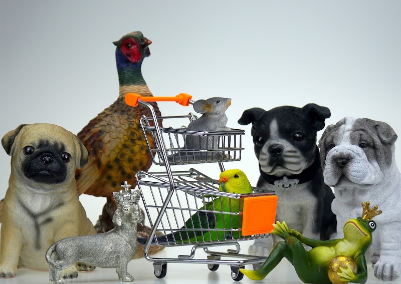 Animalerie Mahrous Marrakech — Pet shop · Marrakech